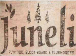 JUNELI PLY (and logo) trademark logo