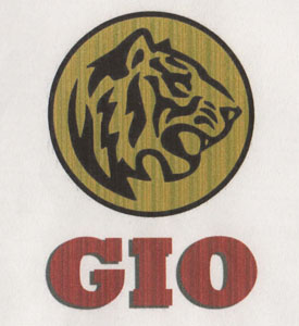 GIO (and logo) trademark logo
