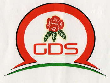 GDS (and logo) trademark logo