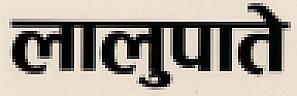 LALUPATE (and logo) trademark logo