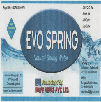 EVO SPRING (and logo) trademark logo