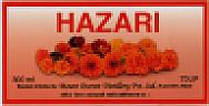 HAZARI (and logo) trademark logo
