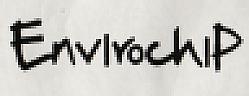 ENVIROCHIP (and logo) trademark logo