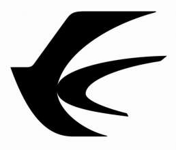 DEVICE MARK trademark logo