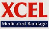 XCEL (and logo) trademark logo