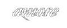 AMORE (and logo) trademark logo