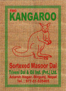 TDO KANGAROO (and logo) trademark logo