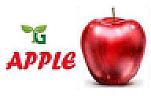 TG APPLE (and logo) trademark logo