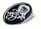 MEIDAN (and logo) trademark logo