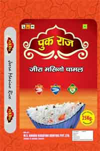 PUK RAJ (and logo) trademark logo