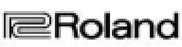 R+ROLAND (and logo) trademark logo