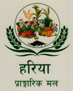 HARIYA PRANGARIK MAL (and logo) trademark logo