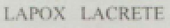LAPOX LACRETE (and logo) trademark logo