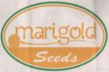 MARIGOLD SEEDS (and logo) trademark logo