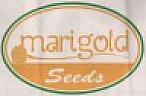 MARIGOLD SEEDS (and logo) trademark logo