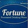 FORTUNE (and logo) trademark logo