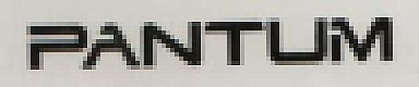 PANTUM (and logo) trademark logo
