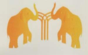 DEVICE MARK trademark logo