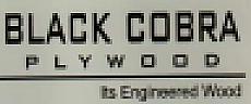 BLACK COBRA (and logo) trademark logo