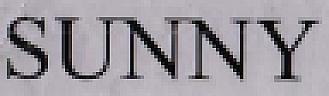 SUNNY (and logo) trademark logo