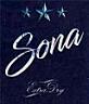 SONA (and logo) trademark logo