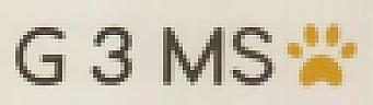 G 3 MS (and logo) trademark logo