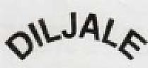 DIL JALE (and logo) trademark logo