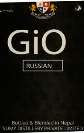 GIO (and logo) trademark logo