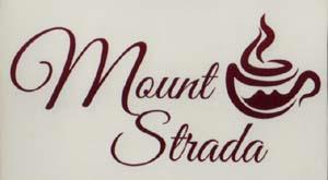 MOUNT STRADA (and logo) trademark logo