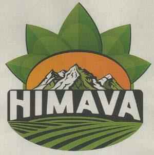 HIMAVA (and logo) trademark logo