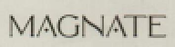 MAGNATE (and logo) trademark logo