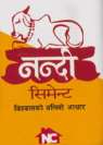 NANDI CEMENT (and logo) trademark logo