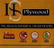 HS PLYWOOD (and logo) trademark logo