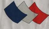 DEVICE MARK (and logo) trademark logo