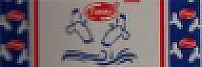 FUNNY SEAGULL (and logo) trademark logo