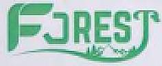 FORES (and logo) trademark logo