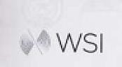 WSI WITH DEVICE (and logo) trademark logo