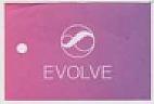 EVOLVE (and logo) trademark logo