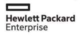 HEWLETT PACKARD ENTERPRISE (and logo) trademark logo