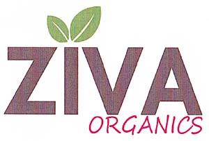 ZIVA (and logo) trademark logo