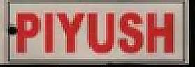 PIYUSH (and logo) trademark logo