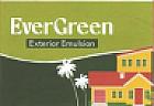 EVERGREEN EXTERIOR EMULSION (and logo) trademark logo