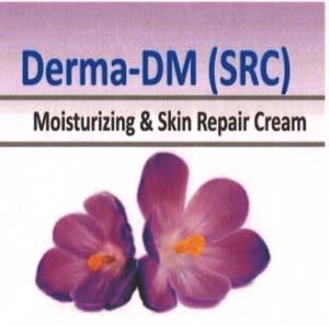 DERMA SRC (and logo) trademark logo