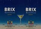 BRIX (and logo) trademark logo