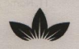 DEVICE MARK trademark logo