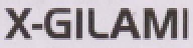 X-GILAMI (and logo) trademark logo