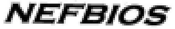NEFBIOS (and logo) trademark logo