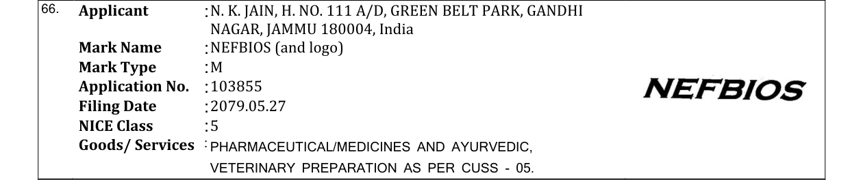 Original bulletin entry for NEFBIOS (and logo)