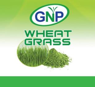 GNP WHEAT GRASS (and logo) trademark logo
