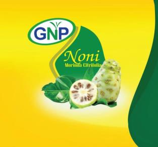 GNP NONI (and logo) trademark logo